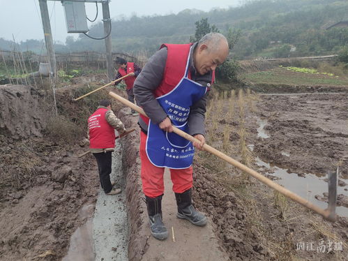 構建三級勞務服務體系,內江市市中區全力打造農民工 家門口就業圈