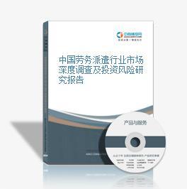 2015-2020年中國勞務派遣行業市場前景及融資戰略咨詢報告