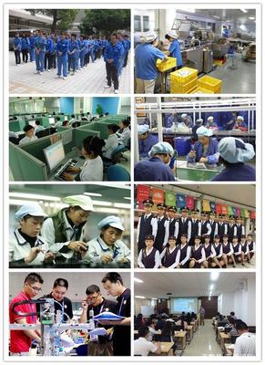 藍橋國際是做什么的,這家公司有來歷
