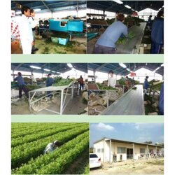 邯鄲出國工作中介 衡水出國工作找宏翔人力價格